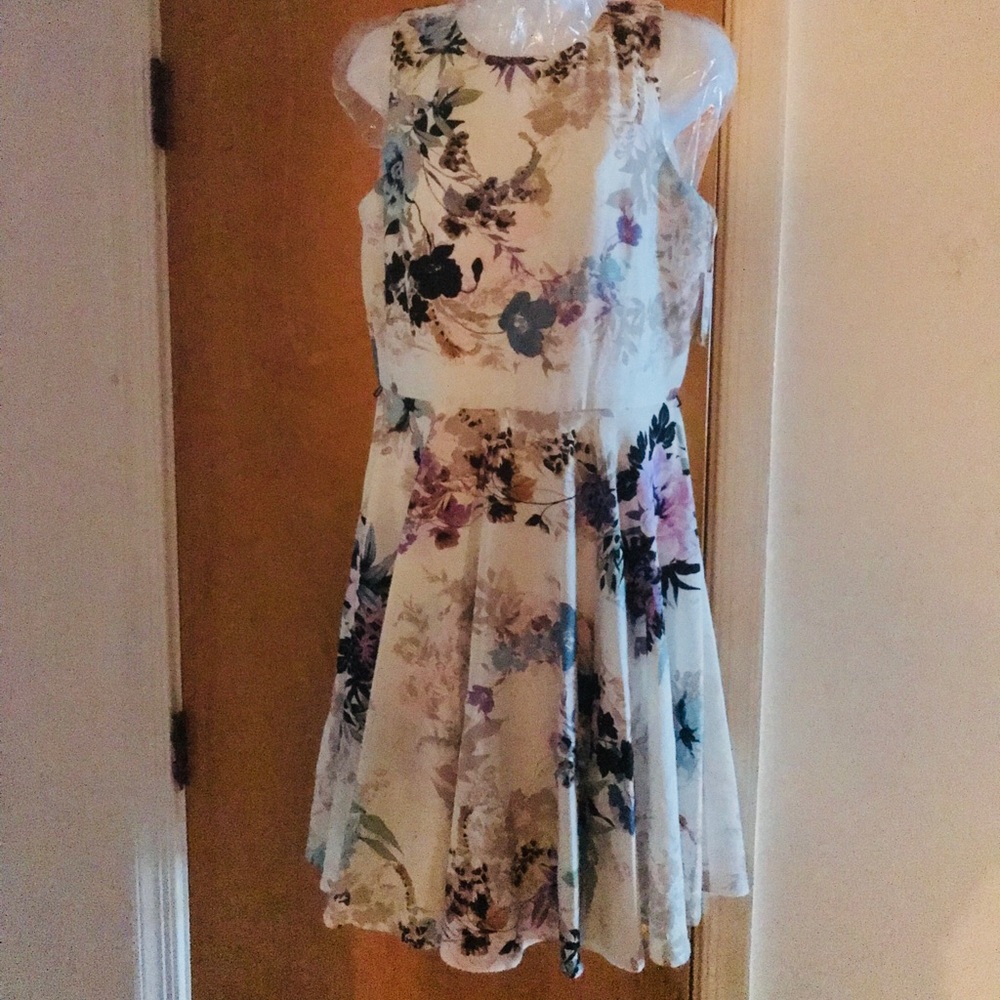J Taylor Dress